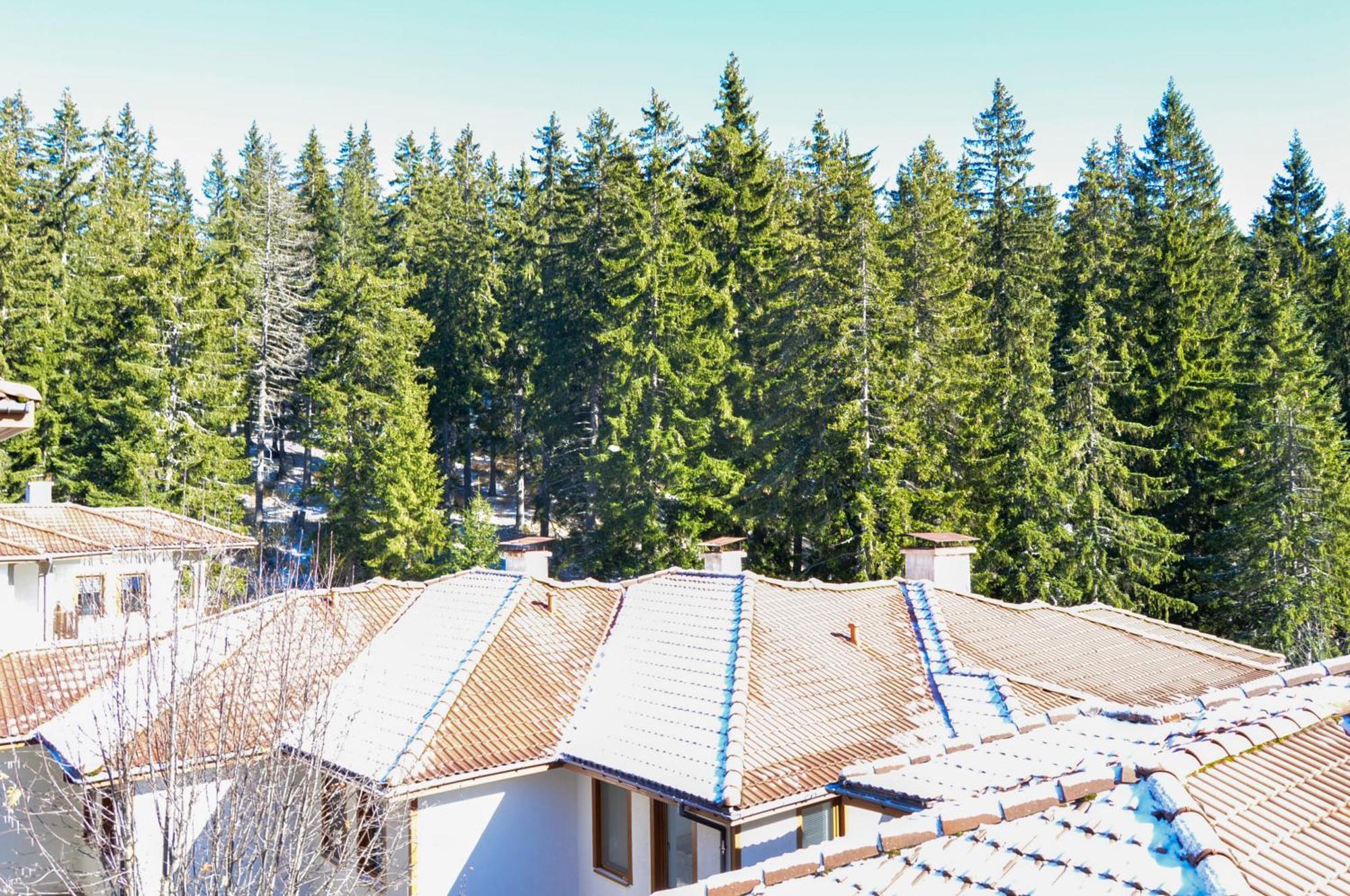 Myplace Pamporovo Апартаменти За Отдих Esterno foto